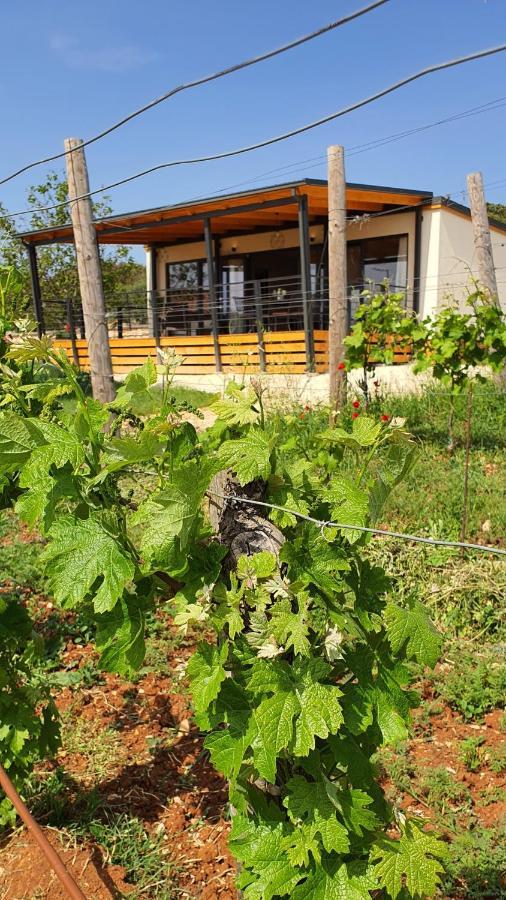 Collis Winery - Family & Friends - Mobilhome Rovinj Eksteriør bilde